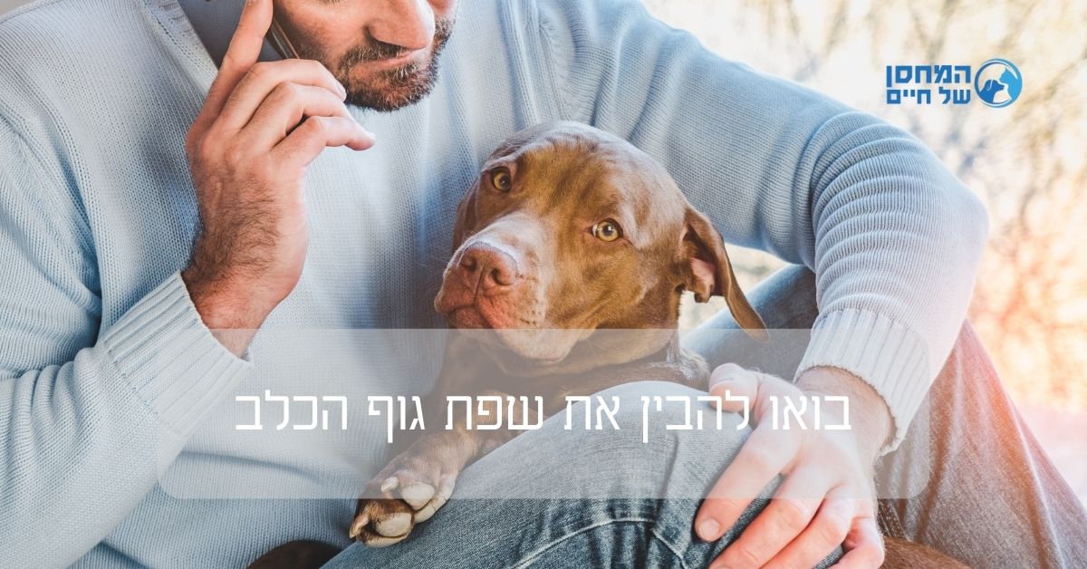 בואו להבין את שפת גוף הכלב